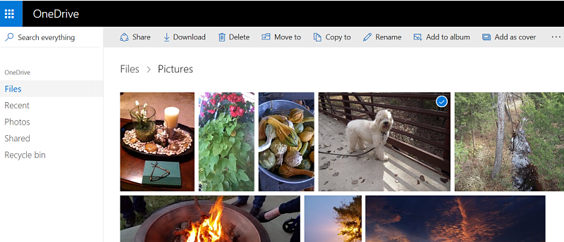 Tile view of OneDrive photos